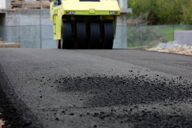 Best Driveway Paving Contractor  in Douglas, GA