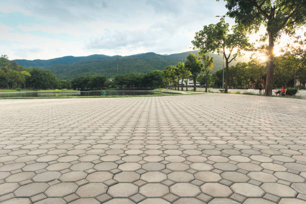 Best Decorative Driveway Pavers  in Douglas, GA