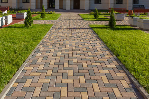 Best Custom Driveway Pavers  in Douglas, GA